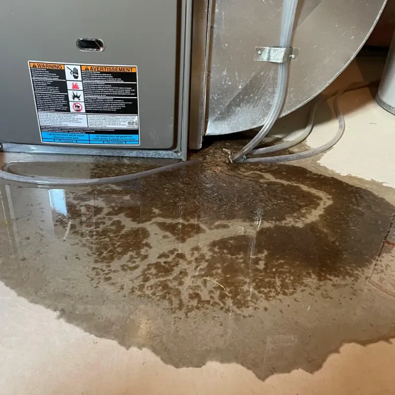 Appliance Leak Cleanup in Carroll County, IN